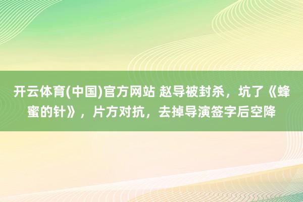 开云体育(中国)官方网站 赵导被封杀，坑了《蜂蜜的针》，片方对抗，去掉导演签字后空降