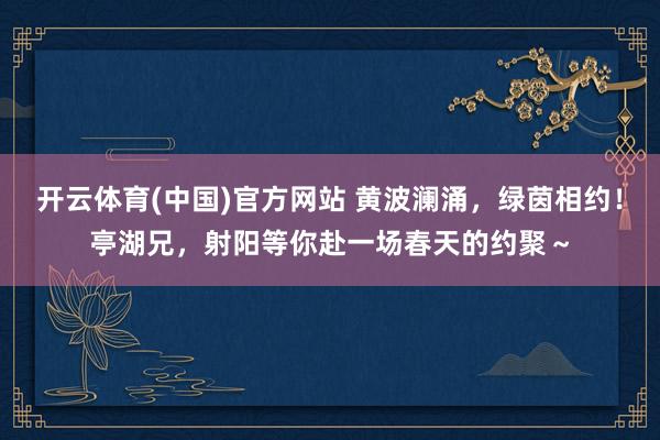 开云体育(中国)官方网站 黄波澜涌，绿茵相约！亭湖兄，射阳等你赴一场春天的约聚～