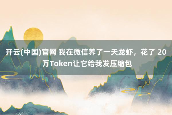 开云(中国)官网 我在微信养了一天龙虾，花了 20 万Token让它给我发压缩包
