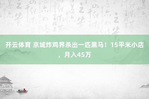 开云体育 京城炸鸡界杀出一匹黑马！15平米小店，月入45万