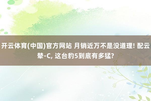 开云体育(中国)官方网站 月销近万不是没道理! 配云辇-C， 这台豹5到底有多猛?