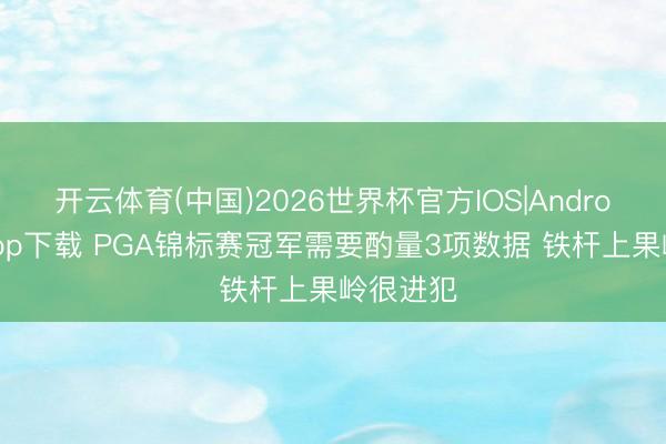 开云体育(中国)2026世界杯官方IOS|Android手机app下载 PGA锦标赛冠军需要酌量3项数据 铁杆上果岭很进犯