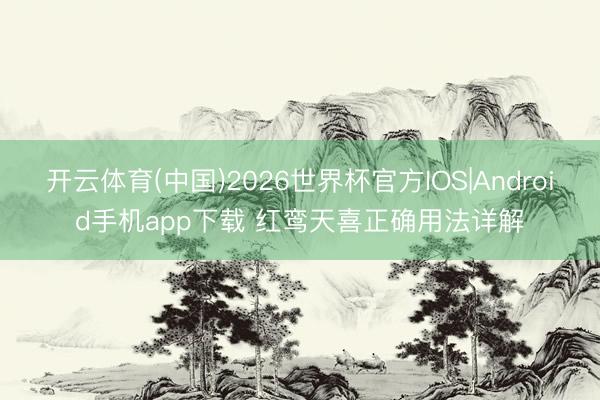开云体育(中国)2026世界杯官方IOS|Android手机app下载 红鸾天喜正确用法详解