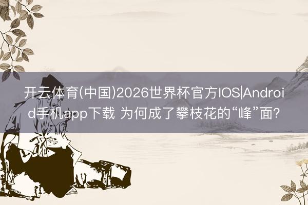 开云体育(中国)2026世界杯官方IOS|Android手机app下载 为何成了攀枝花的“峰”面？