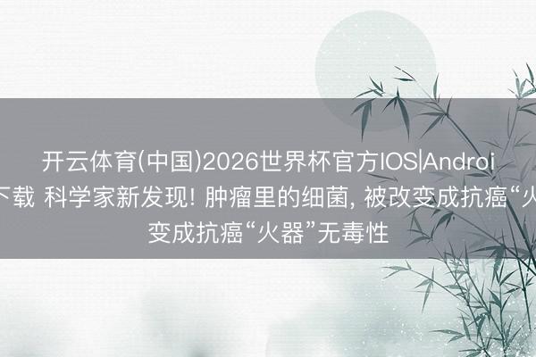 开云体育(中国)2026世界杯官方IOS|Android手机app下载 科学家新发现! 肿瘤里的细菌， 被改变成抗癌“火器”无毒性