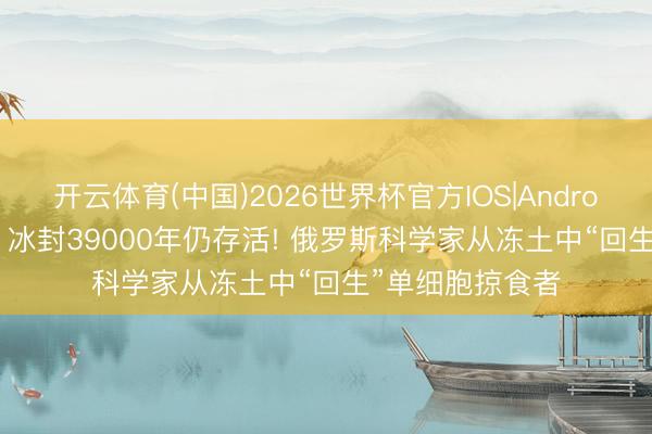 开云体育(中国)2026世界杯官方IOS|Android手机app下载 冰封39000年仍存活! 俄罗斯科学家从冻土中“回生”单细胞掠食者