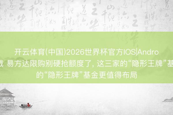 开云体育(中国)2026世界杯官方IOS|Android手机app下载 易方达限购别硬抢额度了， 这三家的“隐形王牌”基金更值得布局