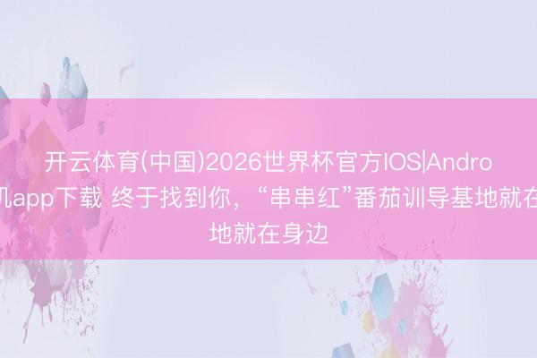 开云体育(中国)2026世界杯官方IOS|Android手机app下载 终于找到你，“串串红”番茄训导基地就在身边