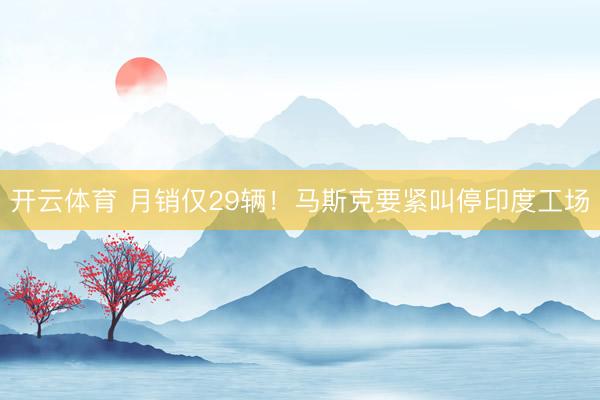 开云体育 月销仅29辆！马斯克要紧叫停印度工场