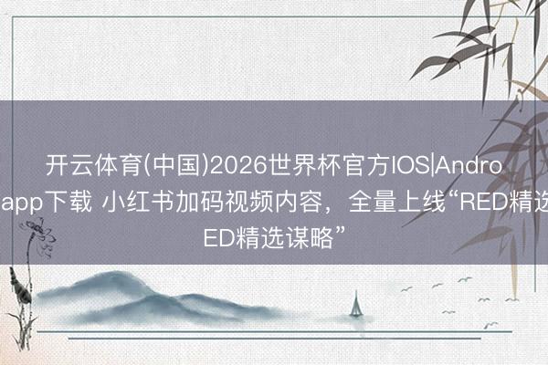 开云体育(中国)2026世界杯官方IOS|Android手机app下载 小红书加码视频内容，全量上线“RED精选谋略”