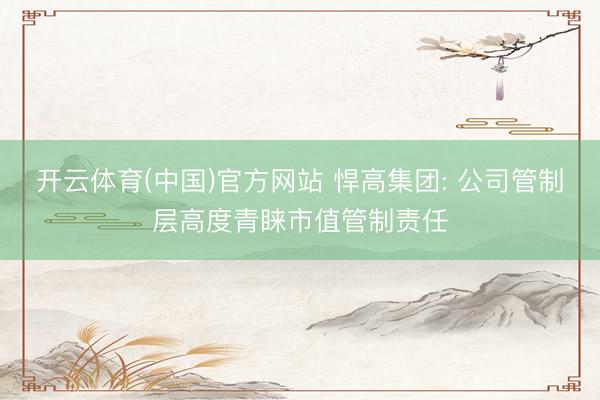 开云体育(中国)官方网站 悍高集团: 公司管制层高度青睐市值管制责任