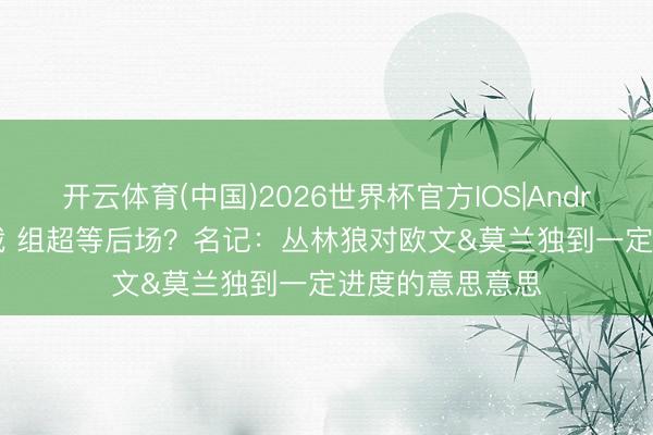 开云体育(中国)2026世界杯官方IOS|Android手机app下载 组超等后场？名记：丛林狼对欧文&莫兰独到一定进度的意思意思