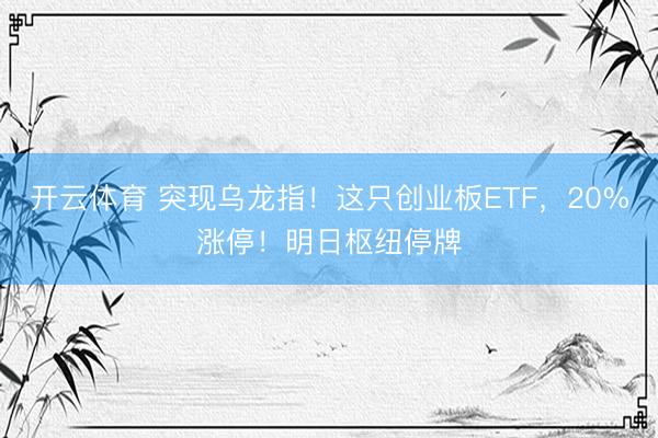 开云体育 突现乌龙指！这只创业板ETF，20%涨停！明日枢纽停牌