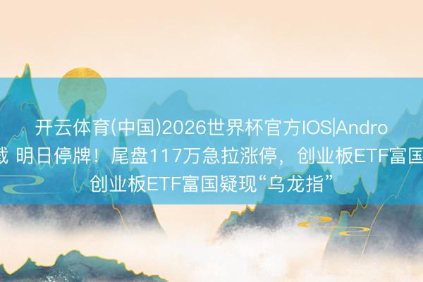 开云体育(中国)2026世界杯官方IOS|Android手机app下载 明日停牌！尾盘117万急拉涨停，创业板ETF富国疑现“乌龙指”