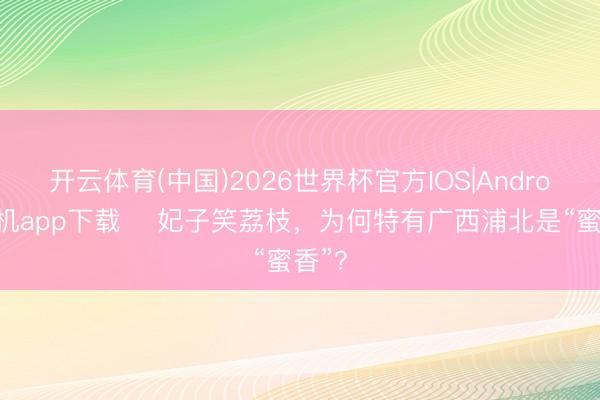开云体育(中国)2026世界杯官方IOS|Android手机app下载 ​妃子笑荔枝，为何特有广西浦北是“蜜香”？