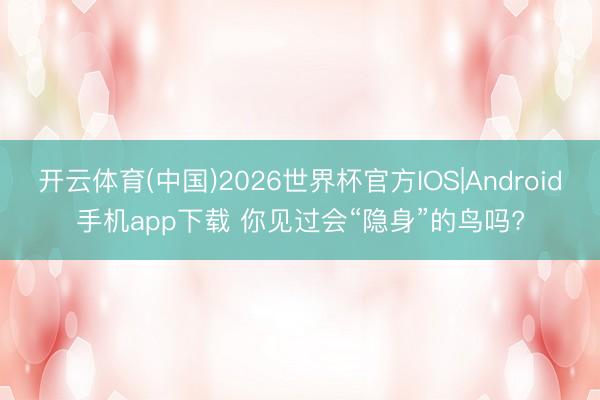 开云体育(中国)2026世界杯官方IOS|Android手机app下载 你见过会“隐身”的鸟吗?